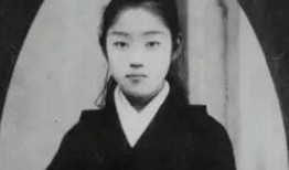 日本爆料孙中山事件视频,孙中山事件背后的真相